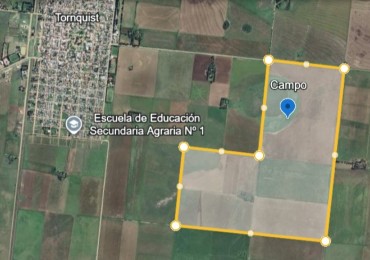 CAMPO MIXTO - TORNQUIST - NUEVO VALOR